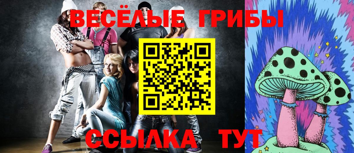 Кстово  Галлюциногенные грибы Magic Shrooms  Вход с VPN 